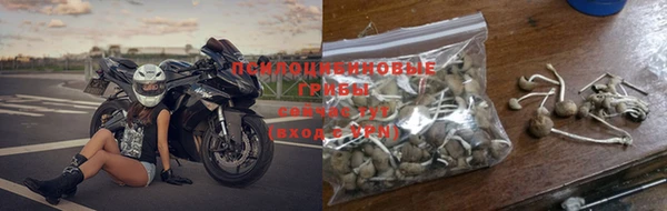 ГАЛЛЮЦИНОГЕННЫЕ ГРИБЫ Балахна