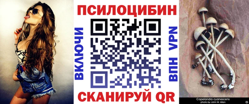 Псилоцибиновые грибы Cubensis  где продают наркотики  Валуйки 